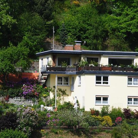 Ferienwohnung Haus Am Sommerberg Ludwigsstadt Extérieur photo